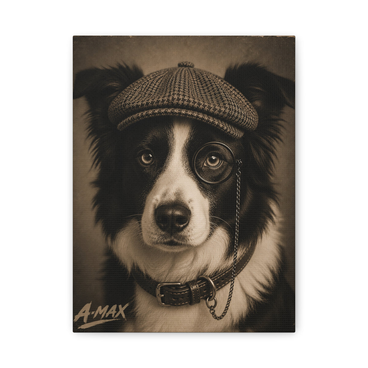 Vintage Border Collie